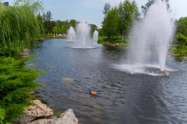 Quatro fontes altas e um pato na lagoa — Fotografia de Stock
