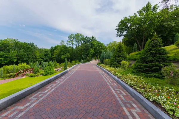 Alley with patterns on the sides goes through a green park with succulent bushes, grass and trees — Stock Photo, Image