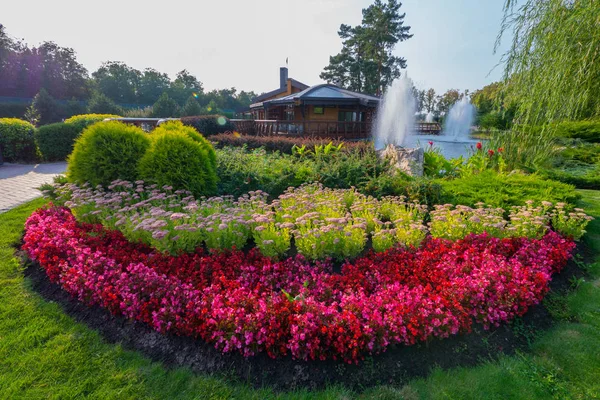 美丽的装饰花坛与小红花和绿色灌木对湖的背景与喷泉 — 图库照片
