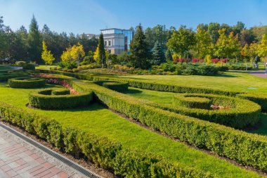 Dekoratif bir büyük park alan arka planı yeşil çalılar kesildikten