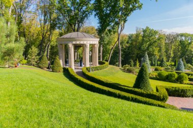 Güzel, kıyılmış creslons yeşil, bir bahar Parkı ile ağaç. Düğün fotoğraf çekimi için ideal bir yer. Ne bir adam ve bir kız kullanılan