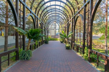 Bir ahşap çerçeve ve çeşitli dekoratif yeşil çiçekleri ile döşeli yürüyüş geçit