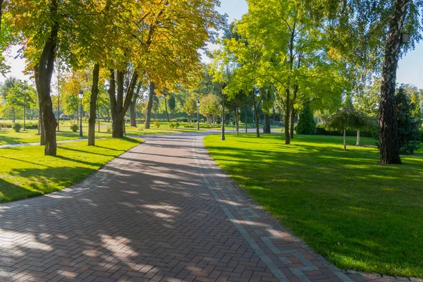 A wide alley in the park is paved with tiles with green lawns and trees with yellowing foliage on a bright sunny afternoon. — Stock Photo, Image