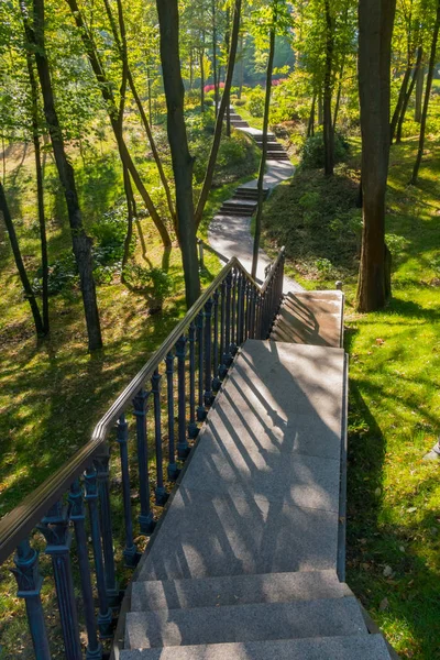 Allée avec escalier et rampe entre les arbres dans un parc verdoyant — Photo