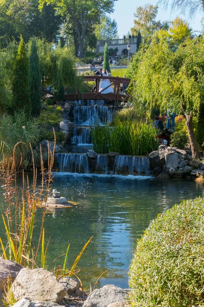 Recién casados en un puente de madera en el fondo de una cascada decorativa y una zona verde del parque — Foto de Stock