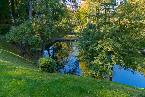 Der Fluss in der grünen Schlucht des Stadtparks spiegelt die Baumkrone wider — Stockfoto