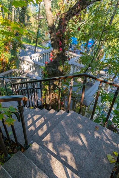 Escadaria íngreme descendo entre as árvores para a plataforma de visualização abaixo com uma bela vista da natureza circundante . — Fotografia de Stock
