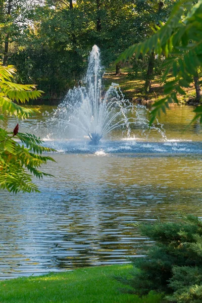 En magnifik utsikt genom gröna lövverket till fontän hög transparent strömmar slog över ytan av vattnet. — Stockfoto