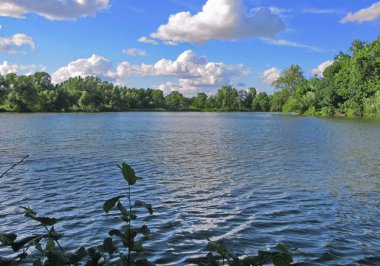 Soğuk, mavi su yüzeyine. Ağaçların gölgesinden üzerine düşüyor