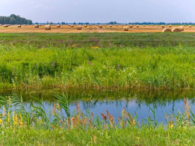 Bataklık Nehri yakınında yoğun paketlenmiş bir balya saman tahıl hasat sonra