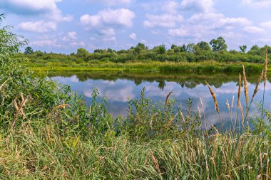 Açık, güneşli bir günde, güzel bir göl manzarası. Suyu yansıtan çimlerle kaplanmış bankalar ve gökte yüzen bulutlar..
