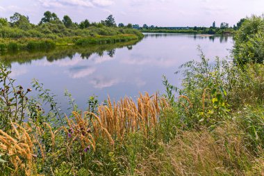 Güzel bir buzul su ile geniş nehrinin üzerinde bulutlu gökyüzü yüzey ve yansıyan bu içinde büyüyen pitoresk doğa manzarası.