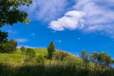 Yüksek yaprak döken ağaçlar ve dik bir tepenin yamacında yeşil çalılar