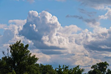 Beyaz, büyük bulutlu gök. Oldukça buzdağları okyanusu gibi görünüyor