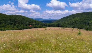bir çayırda çiçekler uzaktan görünür dağ yamaçlarında ile noktalı bir çayır ile şık bir manzara