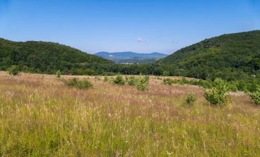 Eşleştirilmiş, yeşil tepeler ve dağlar içinde belgili tanımlık geçmiş olan bir alana