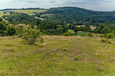 Glade ile bir çalı bulutlu bir günde Karpat Dağları arka planı