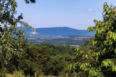 mavi gökyüzünün altında ağaçlarının dalları arasında diğer dağlara en baştan manzara