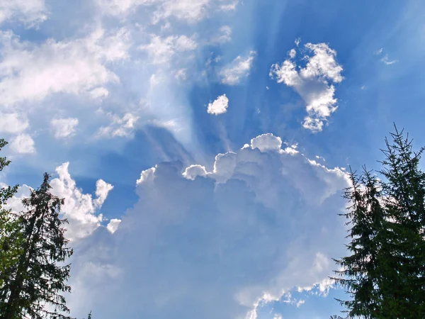 The rays of the sun are framed by a bright, large white cloud on the blue sky with the peaks of the high fir — Stock Photo, Image