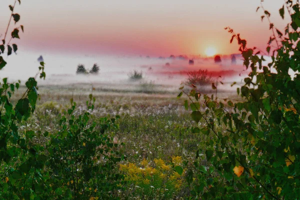 Ufuk üzerinde güneş ayarı ışınlarının puslu akşam yeşil alana — Stok fotoğraf