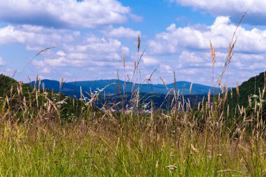 Alçak yüzen beyaz bulutlar dağ zirveleri ve yamaçları üzerinde güzel bir manzarasına uzun otların ve çiçekler ile noktalı bir çayır yeşil ormanlar ile kaplı.