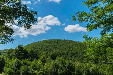 Gologa beyaz bulutlar ile mavi gökyüzünün altında yeşil bir dağdır