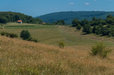 insanlar bir toprak yol için bir sıcak yaz öğlen gidiyor bir tepenin dibinde