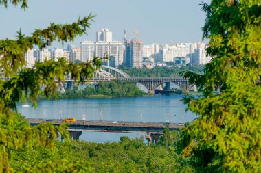 Ön ve arkadaki nehir ve yüksek katlı binalar ile güzel bir şehir iğne yapraklı ağaçların dalları