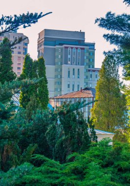 Şehir manzarası ile ağaçları çok katlı apartmanlar arka plan üzerinde kalın ağaçlar ile büyüyen yeşil bir bölge ile.