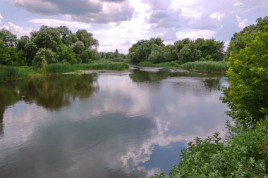Lilyum ve bunu büyüyen sazlar kırsal gölet. Yerel halk rekreasyon tatil sırasında bir yer.