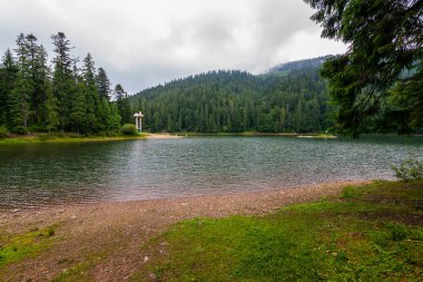 Orada olan praa ahşap heykeller banka iğne yapraklı orman küçük bir su birikintisi