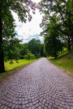 Kaldırım taşları ile döşeli bir yürüyüş mesire yeşil park bölgeye güzel ağaçlar ve çalılar süs ile yol açar
