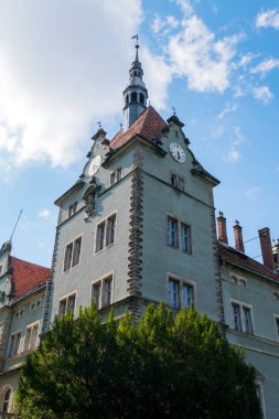 Kont Schenborn avcılık gayrimenkulün duvardaki saati ile yüksek bir kulenin. Karpatlar. Ukrayna