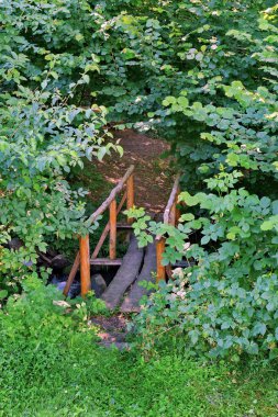 Ormandaki ağaçlar arasında çalışan taşlarla sığ yalan el tarafından yapılan bir ahşap köprü.