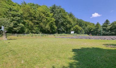 Tenis ve basketbol uzun ağaçlar arka planı yeşil bir çim alanları