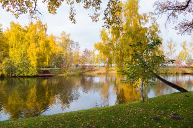 Gölün kıyısında yeşil çimenlerin üzerinde bir güzel sonbahar manzara ile altın onların giysiler giyin ve düşmüş ağaçları ile iyi bir gününde yaprak.