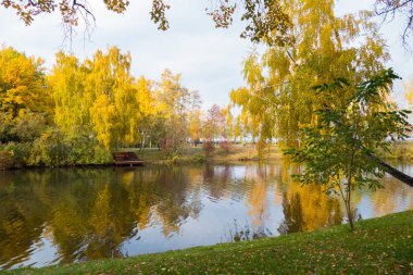 Muhteşem görünümü şeffaf göl ve parlak renkler sonbahar ağaç