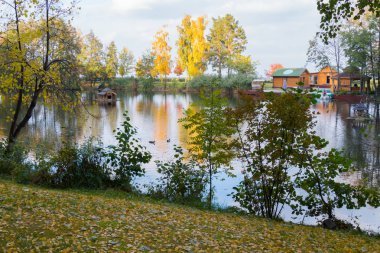 Bir su birikintisi bir çeşme ve sarı-kırmızı ağaçlar ve çalılar ile sonbahar manzara içerir