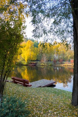 nehir kıyısında bir kulübede ile küçük bir iskele