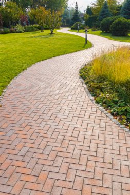 Öğle yemeğinden sonra yürüyüş için bir yer. Park, yol, yeşil çim