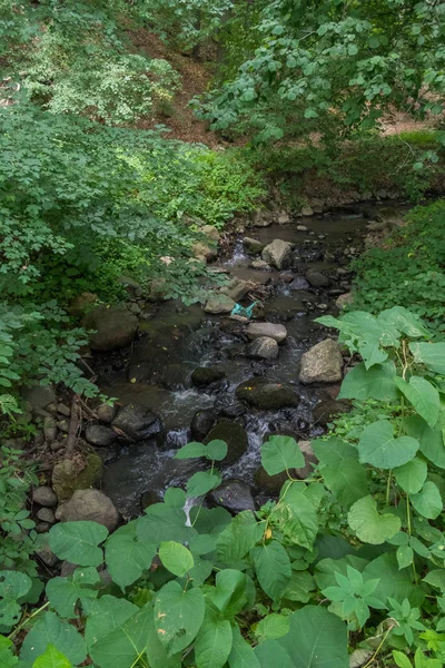 Ein kleiner schneller Gebirgsfluss, der auf seinem Weg kleine Steine zerbricht — Stockfoto