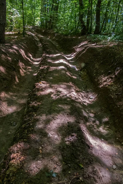 A forest road with traces in the mud from the wheels of a large car. Around the shadow of the dense branches of trees — Stock Photo, Image