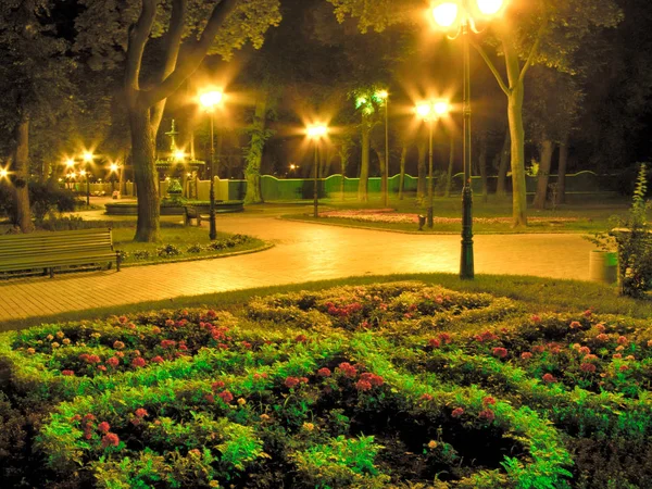 Bella aiuola con fiori rossi ed erba verde sullo sfondo del parco serale — Foto Stock