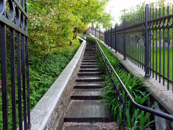 Eine Treppe, die nach oben mit Eisenschienen führt. Gitterzaun auf der einen Seite und Äste grüner Bäume auf der anderen. — Stockfoto