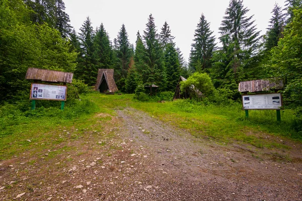 緑の針葉樹の背景に木製道路標識と山村の空き地 — ストック写真