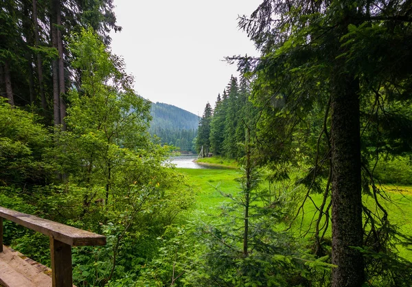 A view of the lake in the distance high green mountain. A place for family rest