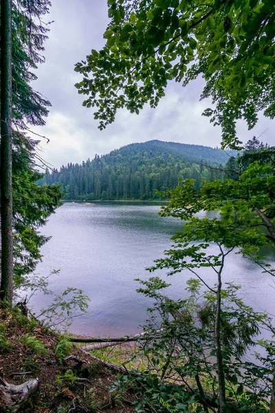 背景の山に美しい、冷たい山の湖 — ストック写真