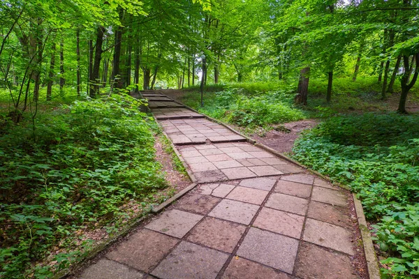 Un sentier dans un parc bordé de tuiles carrées qui courent au milieu de l'herbe verte et des buissons avec des arbres rarement en croissance. Un bon endroit pour la marche et l'isolement . — Photo