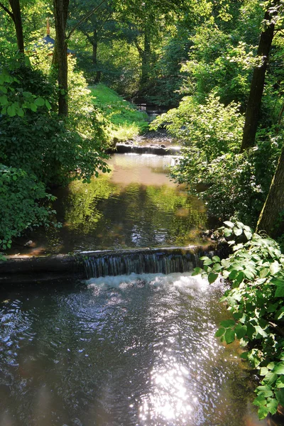 Ein schneller Fluss, der mit großen Wasserströmungen vor dem Hintergrund grüner Bäume fließt — Stockfoto