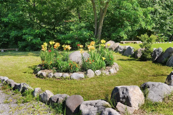 Delicado con un tinte amarillento de flores que crecen en el parque en un césped cubierto de piedras — Foto de Stock